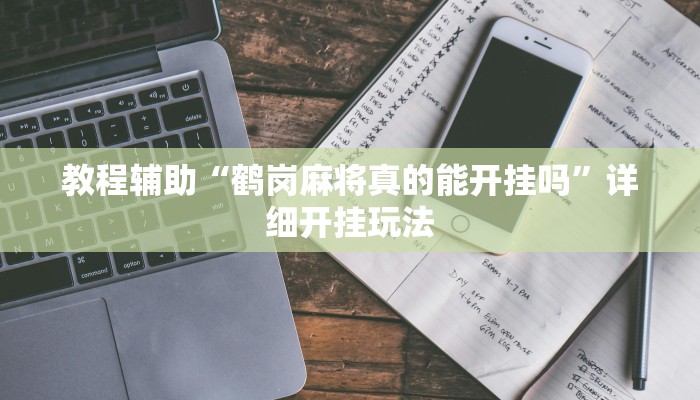 教程辅助“微乐踢坑透视挂下载”其实确实有挂