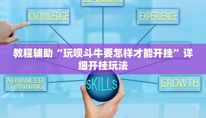 玩家辅助神器“皮皮跑胡子究竟有挂吗”其实确实有挂