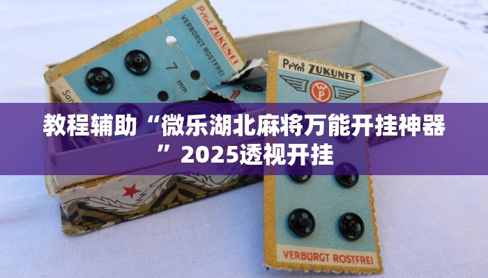 辅助开挂神器“家乡大贰辅助作弊开挂”2025开挂教程步骤 辅助开挂神器“家乡大贰辅助作弊开挂”2025开挂教程步骤