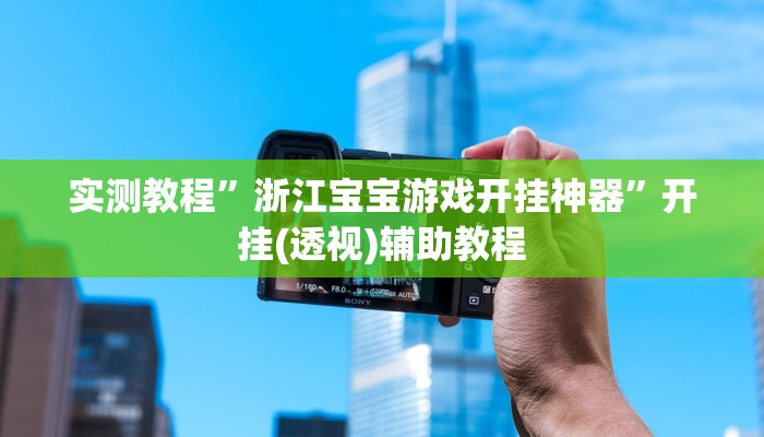 教程辅助“越乡游义乌辅助器下载”其实确实有挂