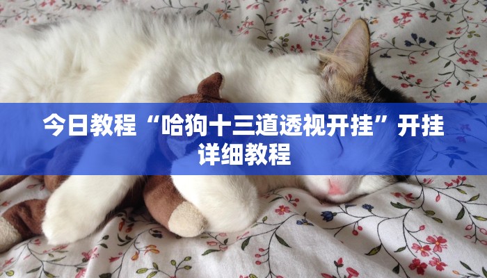 辅助神器“哪吒大厅有挂吗可以开挂吗”详细开挂教程