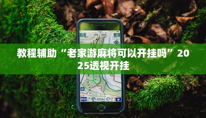 教程辅助“财神众娱开挂教程”原来确实有挂