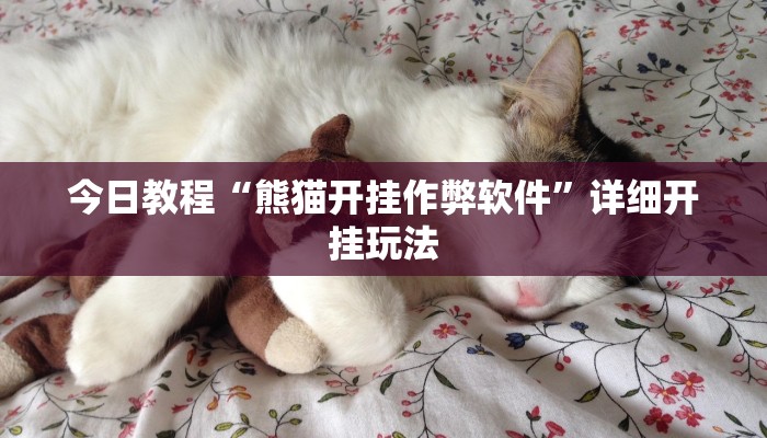 教程辅助“微乐免费房间开挂神器”其实确实有挂