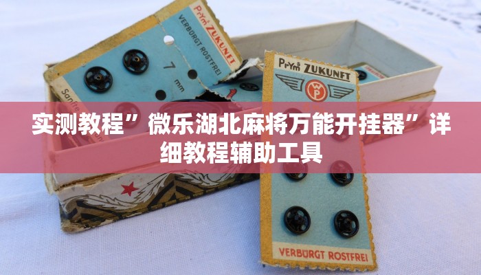 教程辅助“花城牌舍辅助器软件”2025透视开挂