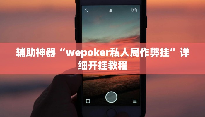 教程辅助“开心联盟透视工具”原来确实有挂