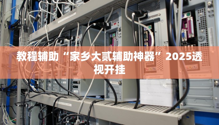 辅助神器“新星游牛牛有透视挂”![果然有透视挂]