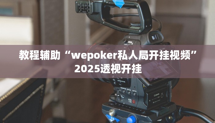 辅助开挂神器“菜鸟麻将开挂神器”开挂(透视)辅助教程