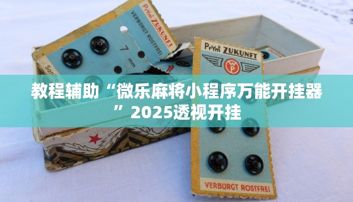 教程辅助“兴动互娱开挂透视软件”2025透视开挂 教程辅助“兴动互娱开挂透视软件”2025透视开挂