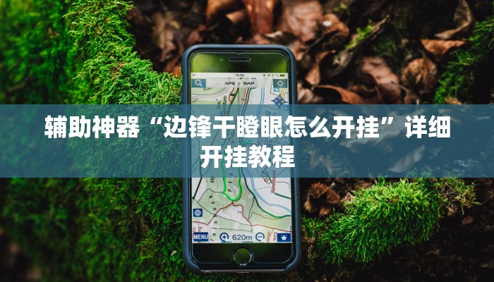 辅助神器“广西八一字牌怎么开挂”详细开挂教程