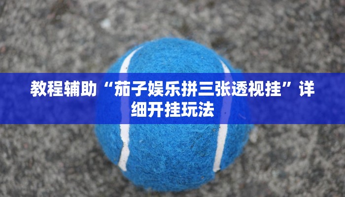 教程开挂辅助“打两圈泰州麻将开挂”分享用挂教程