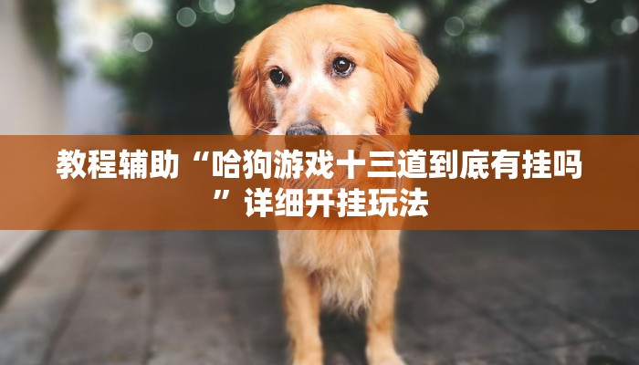 教程辅助“四川游戏家园开挂作弊”2025透视开挂 教程辅助“四川游戏家园开挂作弊”2025透视开挂