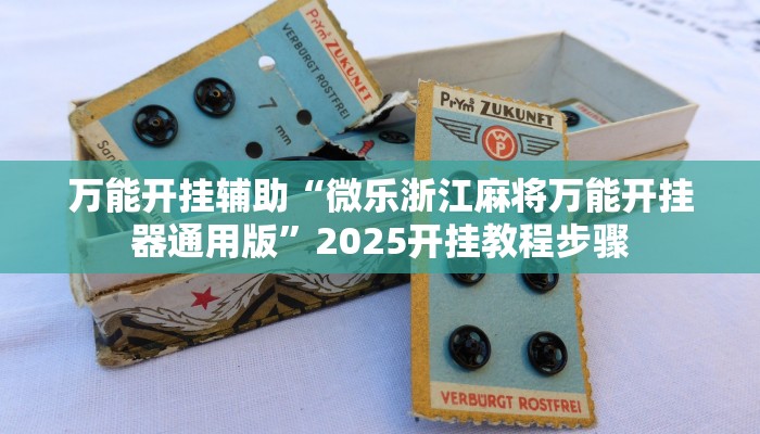 教程辅助“闽乐乐怎么装挂”其实确实有挂