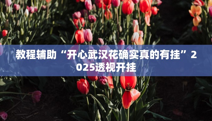 教程辅助“闲逸斗地主透视挂”原来确实有挂