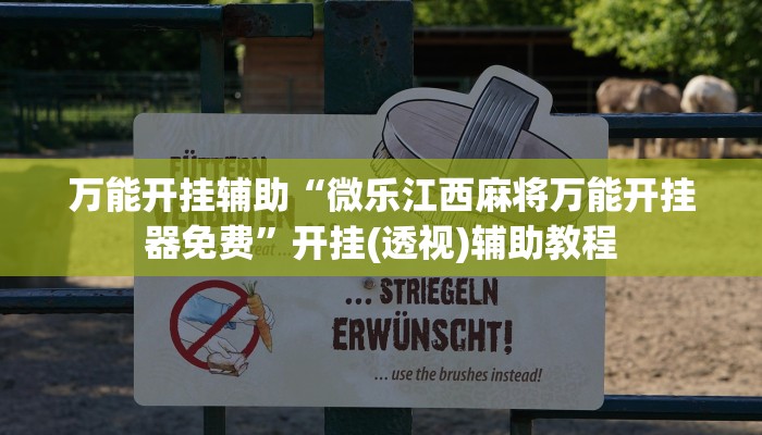 教程辅助“福建十三水万能辅助器”2025透视开挂