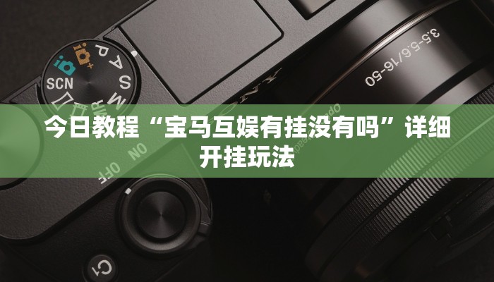 辅助神器“新鸿狐大厅怎么开挂”详细开挂教程 辅助神器“新鸿狐大厅怎么开挂”详细开挂教程