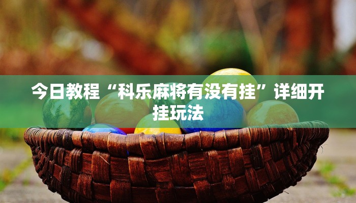 今日教程“口袋上饶辅助开挂”详细开挂玩法