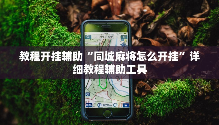 教程开挂辅助“同城麻将怎么开挂”详细教程辅助工具 教程开挂辅助“同城麻将怎么开挂”详细教程辅助工具