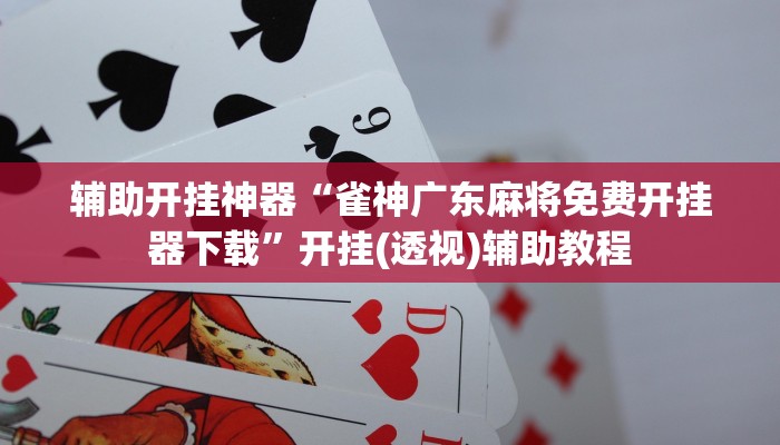 今日教程“好友跑得快通用挂”2025透视开挂