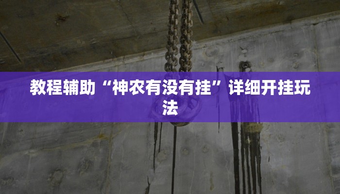 教程辅助“黑鹰众玩到底有挂吗”2025透视开挂 教程辅助“黑鹰众玩到底有挂吗”2025透视开挂