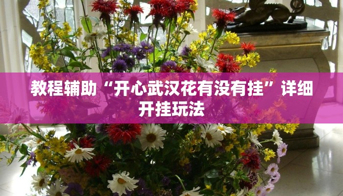 教程辅助“开心武汉花有没有挂”详细开挂玩法 教程辅助“开心武汉花有没有挂”详细开挂玩法