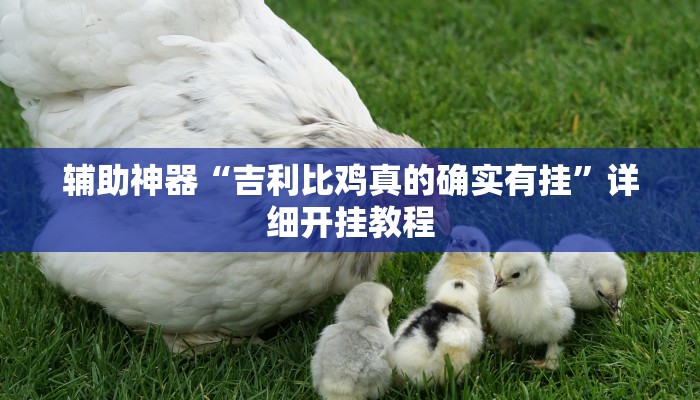 辅助神器“吉利比鸡真的确实有挂”详细开挂教程 辅助神器“吉利比鸡真的确实有挂”详细开挂教程