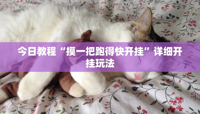 今日教程“摸一把跑得快开挂”详细开挂玩法 今日教程“摸一把跑得快开挂”详细开挂玩法