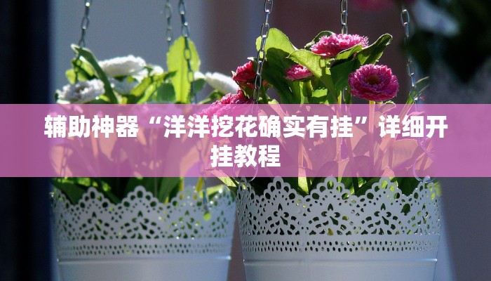 辅助神器“洋洋挖花确实有挂”详细开挂教程