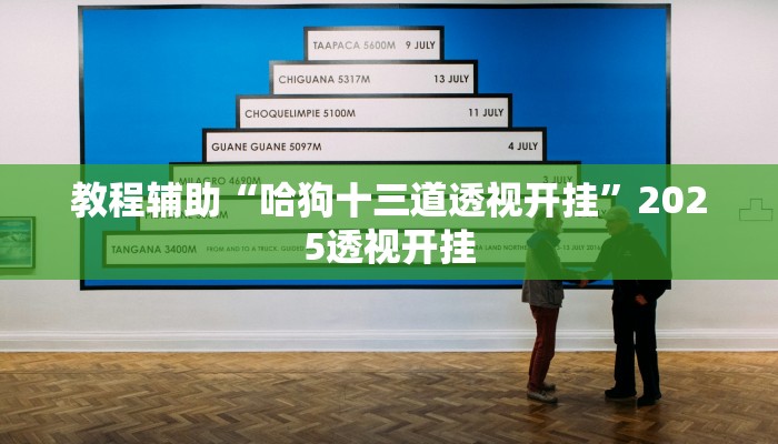 教程辅助“哈狗十三道透视开挂”2025透视开挂 教程辅助“哈狗十三道透视开挂”2025透视开挂