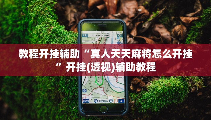 教程开挂辅助“真人天天麻将怎么开挂”开挂(透视)辅助教程 教程开挂辅助“真人天天麻将怎么开挂”开挂(透视)辅助教程