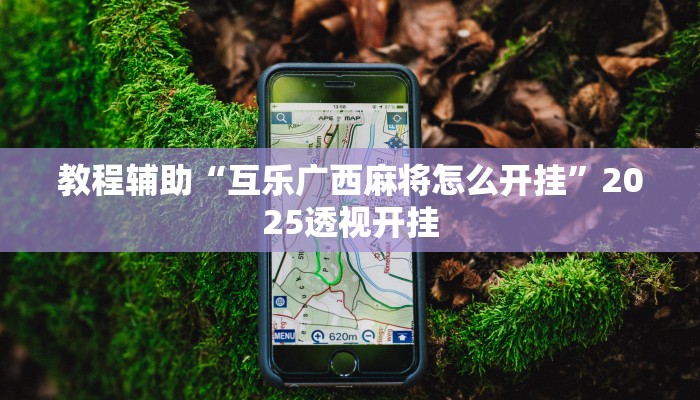 教程辅助“互乐广西麻将怎么开挂”2025透视开挂 教程辅助“互乐广西麻将怎么开挂”2025透视开挂