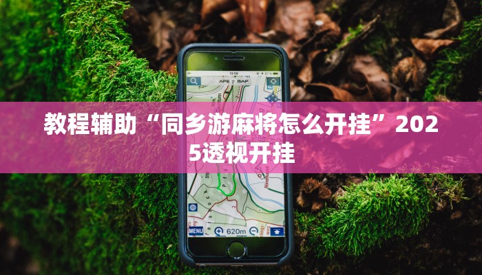 教程辅助“同乡游麻将怎么开挂”2025透视开挂 教程辅助“同乡游麻将怎么开挂”2025透视开挂