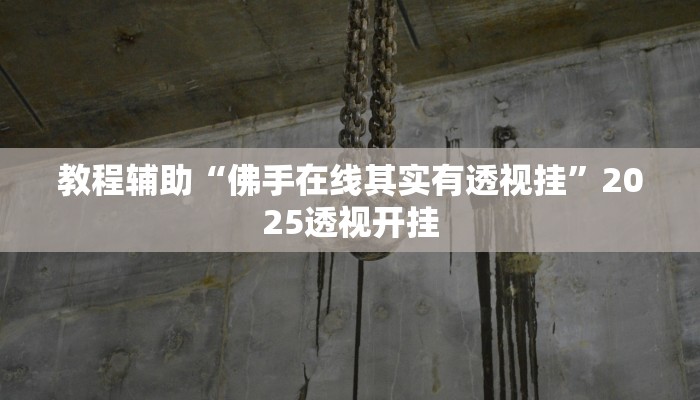 教程辅助“佛手在线其实有透视挂”2025透视开挂
