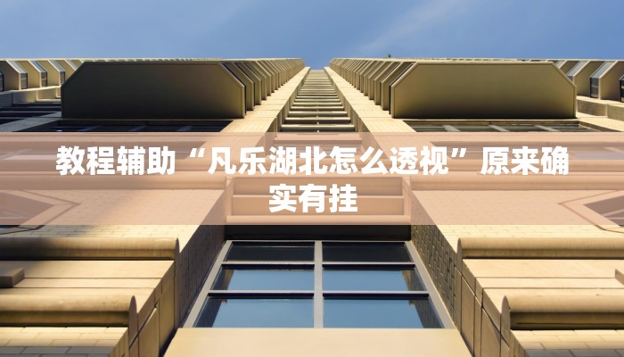 教程辅助“凡乐湖北怎么透视”原来确实有挂