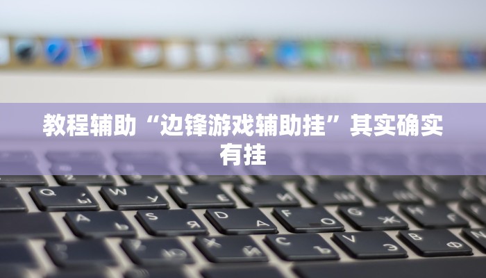 教程辅助“边锋游戏辅助挂”其实确实有挂