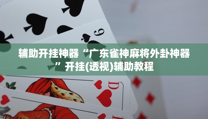 实测教程”全民内蒙古麻将外卦神器下载安装”开挂(透视)辅助教程