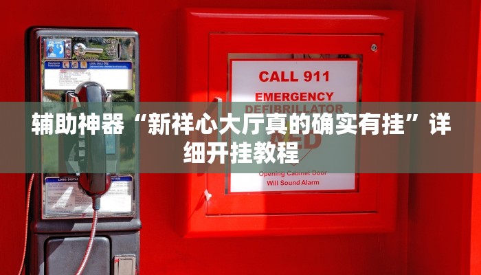 辅助神器“新祥心大厅真的确实有挂”详细开挂教程 辅助神器“新祥心大厅真的确实有挂”详细开挂教程