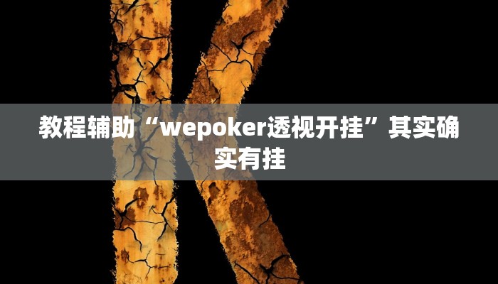 教程辅助“wepoker透视开挂”其实确实有挂
