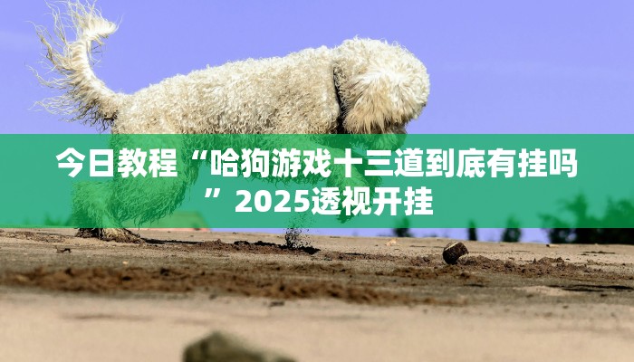 今日教程“哈狗游戏十三道到底有挂吗”2025透视开挂 今日教程“哈狗游戏十三道到底有挂吗”2025透视开挂