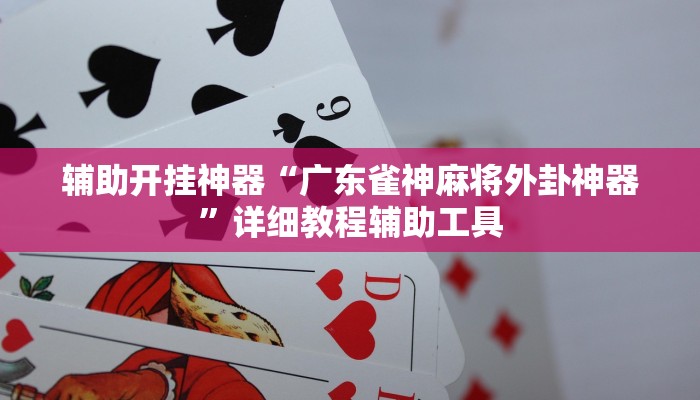 辅助开挂神器“广东雀神麻将外卦神器”详细教程辅助工具 辅助开挂神器“广东雀神麻将外卦神器”详细教程辅助工具
