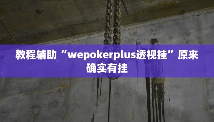 教程辅助“wepokerplus透视挂”原来确实有挂 教程辅助“wepokerplus透视挂”原来确实有挂