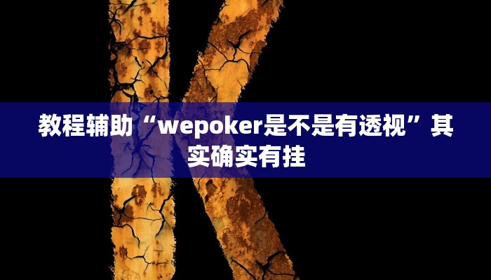 教程辅助“wepoker是不是有透视”其实确实有挂