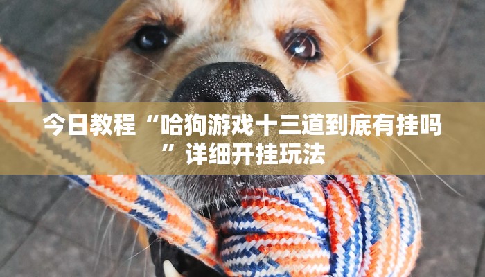 今日教程“哈狗游戏十三道到底有挂吗”详细开挂玩法 今日教程“哈狗游戏十三道到底有挂吗”详细开挂玩法