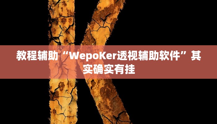 教程辅助“WepoKer透视辅助软件”其实确实有挂