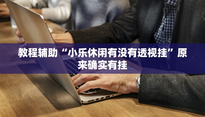 教程辅助“小乐休闲有没有透视挂”原来确实有挂 教程辅助“小乐休闲有没有透视挂”原来确实有挂