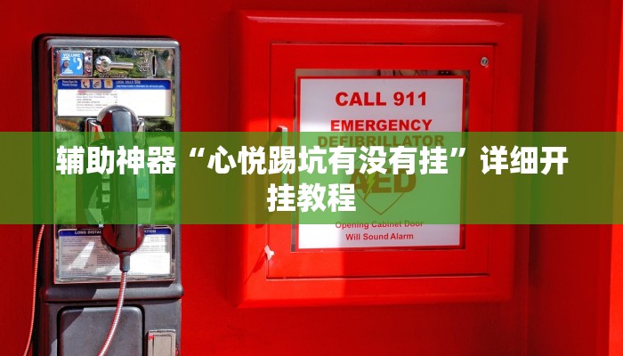 辅助神器“心悦踢坑有没有挂”详细开挂教程 辅助神器“心悦踢坑有没有挂”详细开挂教程