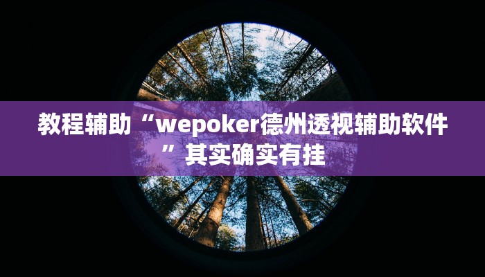 教程辅助“wepoker德州透视辅助软件”其实确实有挂