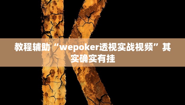 教程辅助“wepoker透视实战视频”其实确实有挂