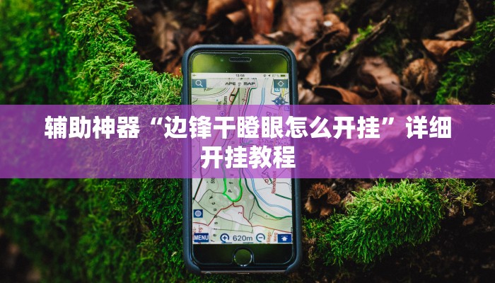 辅助神器“边锋干瞪眼怎么开挂”详细开挂教程