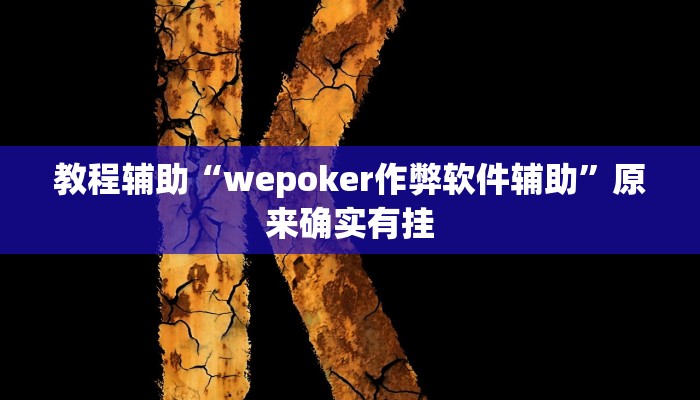 教程辅助“wepoker作弊软件辅助”原来确实有挂