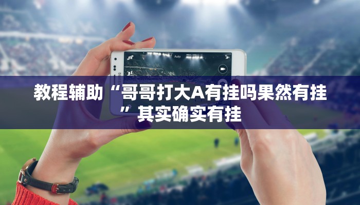 教程辅助“哥哥打大A有挂吗果然有挂”其实确实有挂